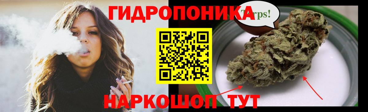 Бошки Шишки сатива  Вход с VPN  Шишки марихуана семена  Среднеуральск 